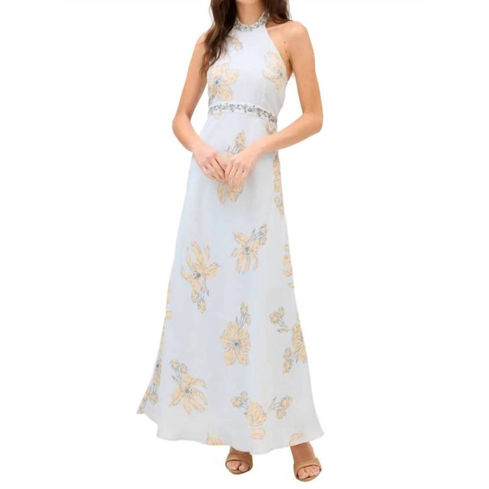 NEW ALLISON riley maxi dress in pale blue floral